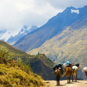 Salkantay