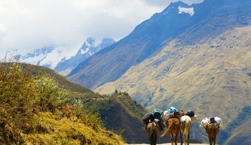 Salkantay