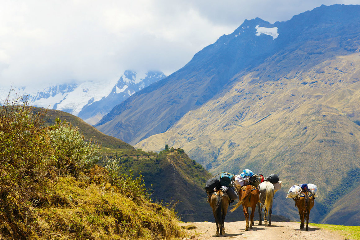 Salkantay Salkantay