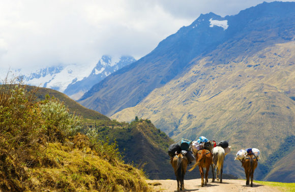 Salkantay