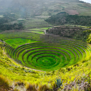 Maras Moray