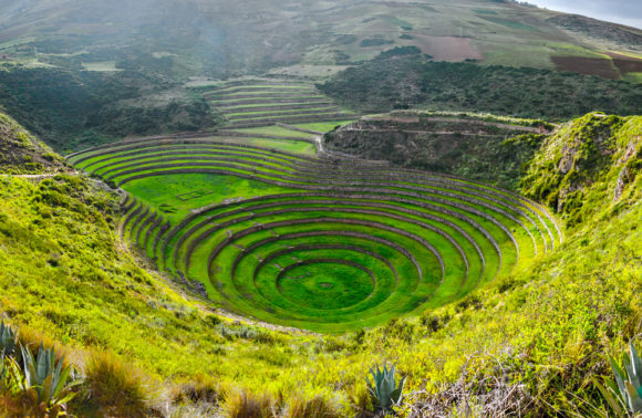 Maras Moray
