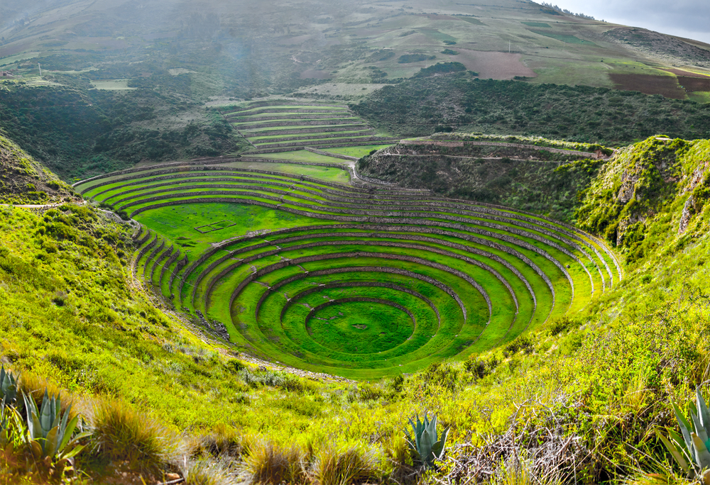 Maras Moray